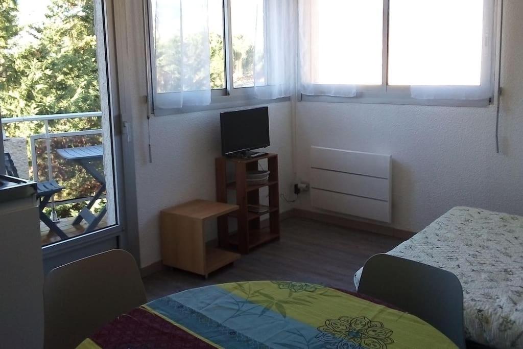 Appartement Catalane 412, ideale rando 1 ter rue des Baus, 66820 Vernet-les-Bains