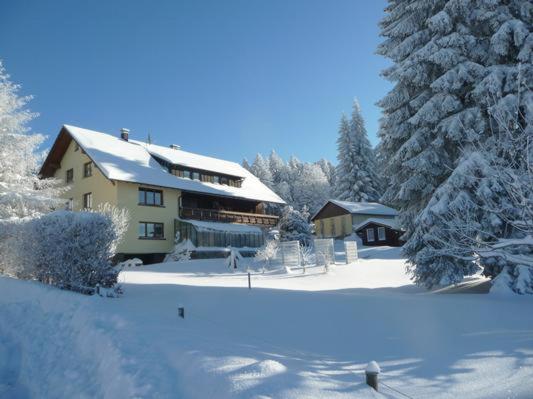 Appartements Catalli 29 Obere Wehrhalder Straße, 79737 Herrischried