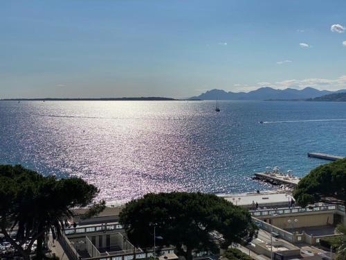 Appartement CENTER BAY 14 Avenue Guy de Maupassant Juan-les-Pins