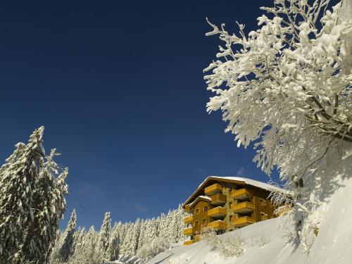 Appart'hôtel CGH Résidences & Spas Le Hameau Du Beaufortain Route Du Mont Bisanne - Les Saisies Les Saisies