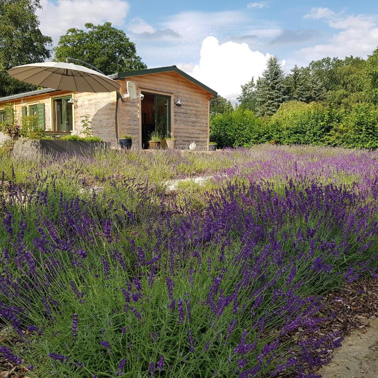 Maison de vacances Chalet \ 3 Tulpenweg, 35325 Mücke