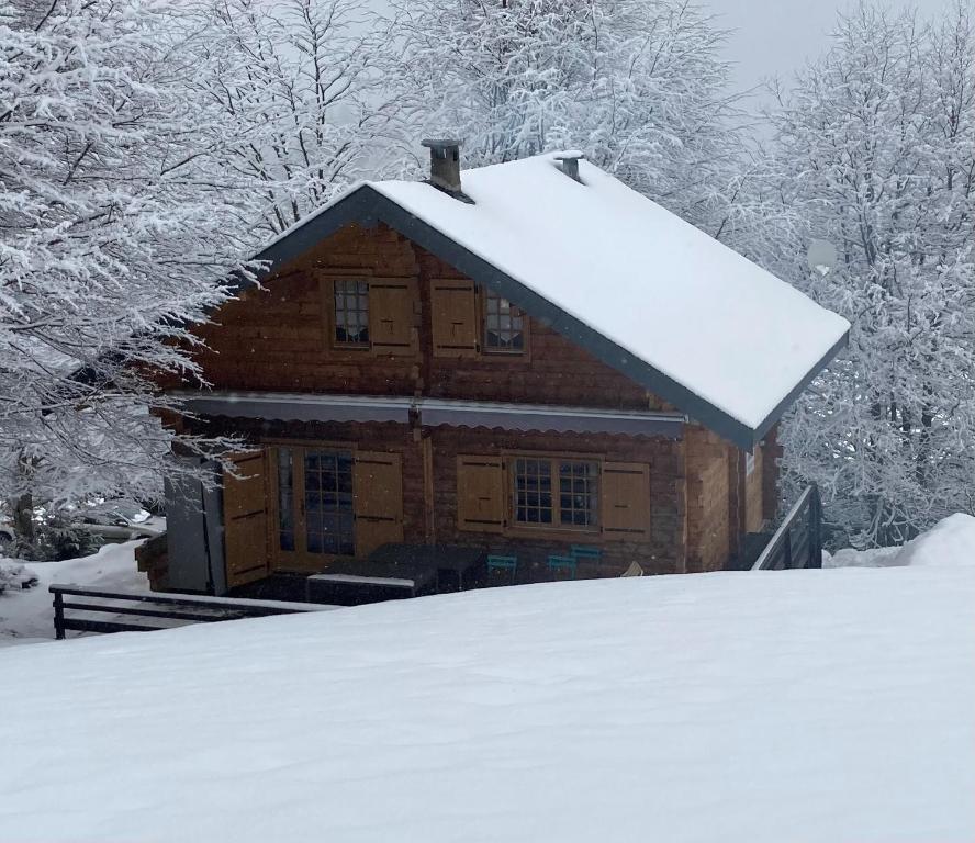 Chalet CHALET 6 PERSONNES SUR PISTE Les Courraous, 31440 Boutx