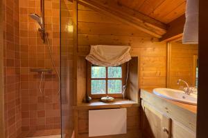 A cozy Ski-in Chalet in Megève