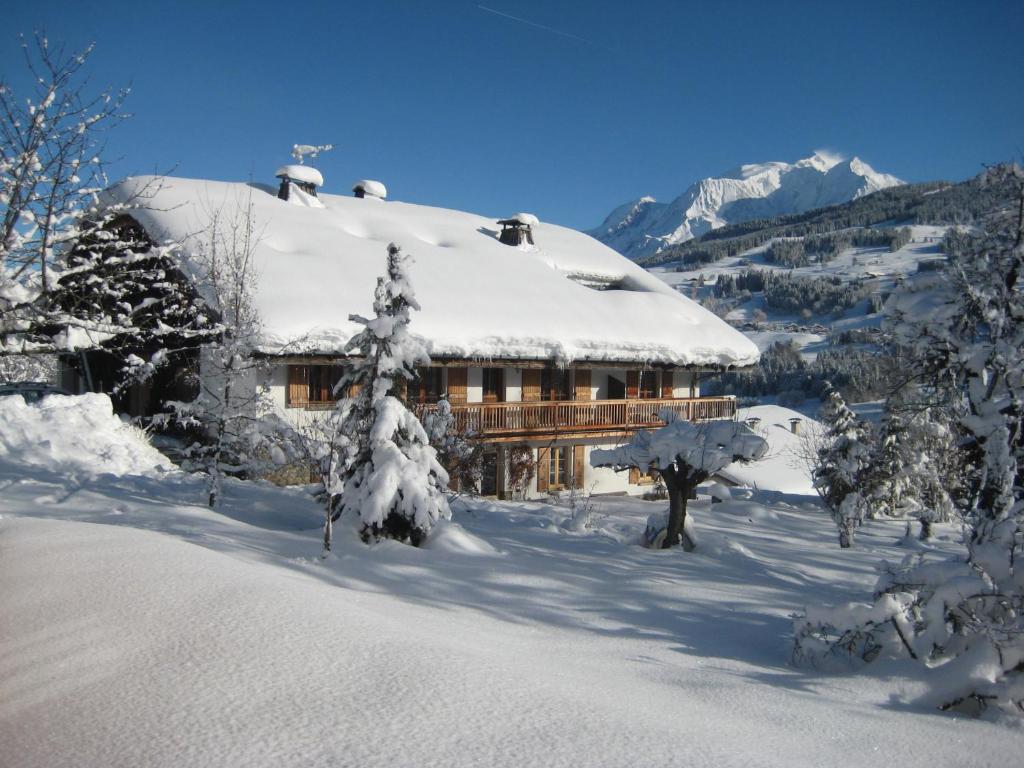 Appartements Chalet à Megève-Vauvray - Appartements tout confort, vue Mont Blanc 237 route de la fouettaz, 74120 Demi-Quartier