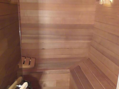 A spacious tastefully furnished chalet with sauna in a traditional French village