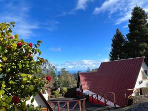 Abrigo da Serra- Nature Trails