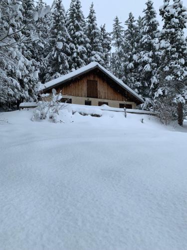 Ancienne Bergerie au cœur de la nature dans le parc du Vercors.