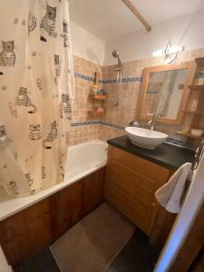Appartement face Mont Blanc