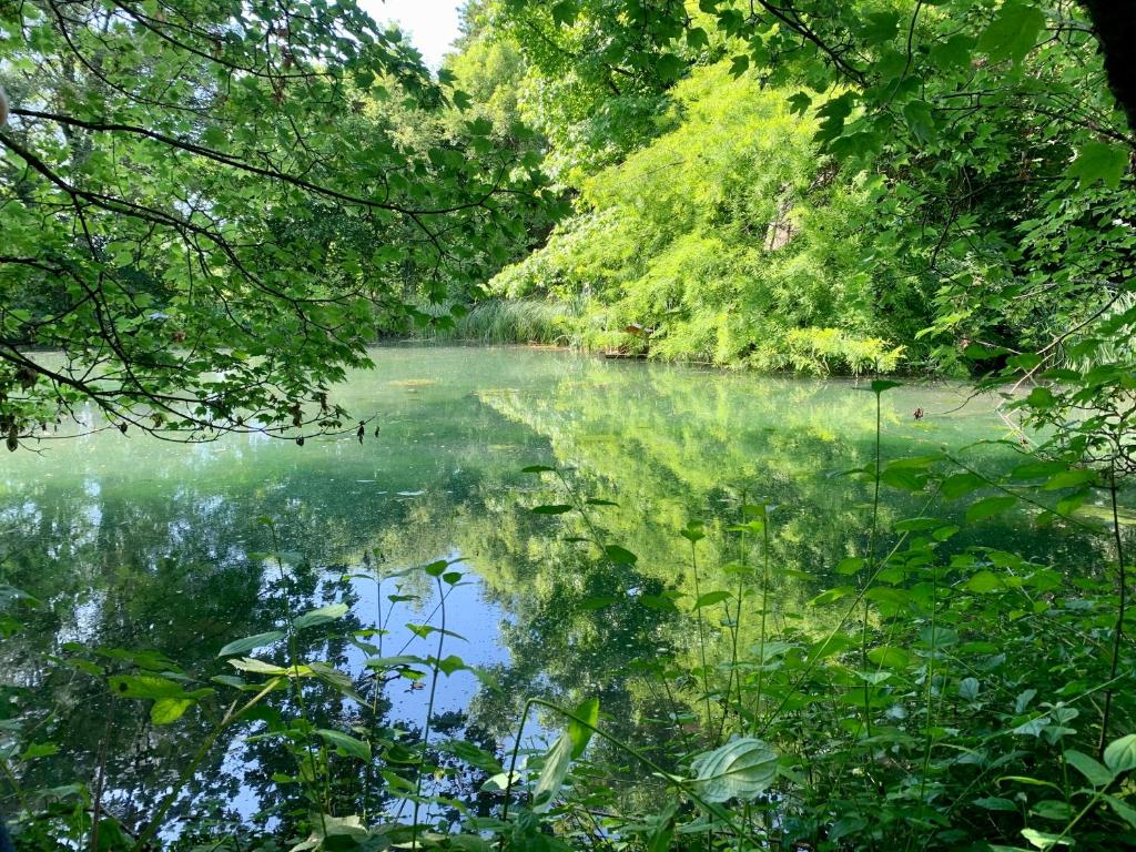 Chalet Chalet au bord de l eau ancien couvent de Faye Faye, 58160 Sauvigny-les-Bois