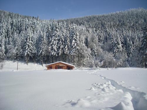 Chalet au bord du lac de Longemer Xonrupt-Longemer france