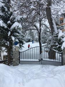 Auron Chalet Galateias
