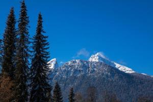 Beautiful cosy House near Königsee