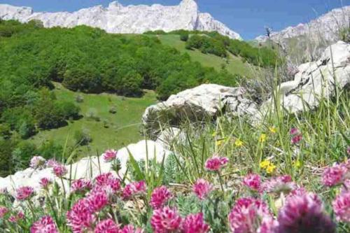 Chalet CHALET BOIS 8 PERS AVEC PISCINE ET VUE IMPRENABLE La joue du Loup Le Dévoluy