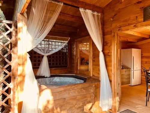 Chalet bois jacuzzi Bessan france