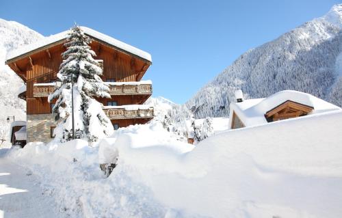 Chalet Bouquetin- Bellecôte 28 to 34 people Champagny-en-Vanoise france