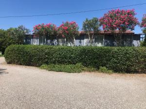 BUNGALOW 60 M2