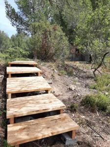 Cabane de Manon, le retour aux sources