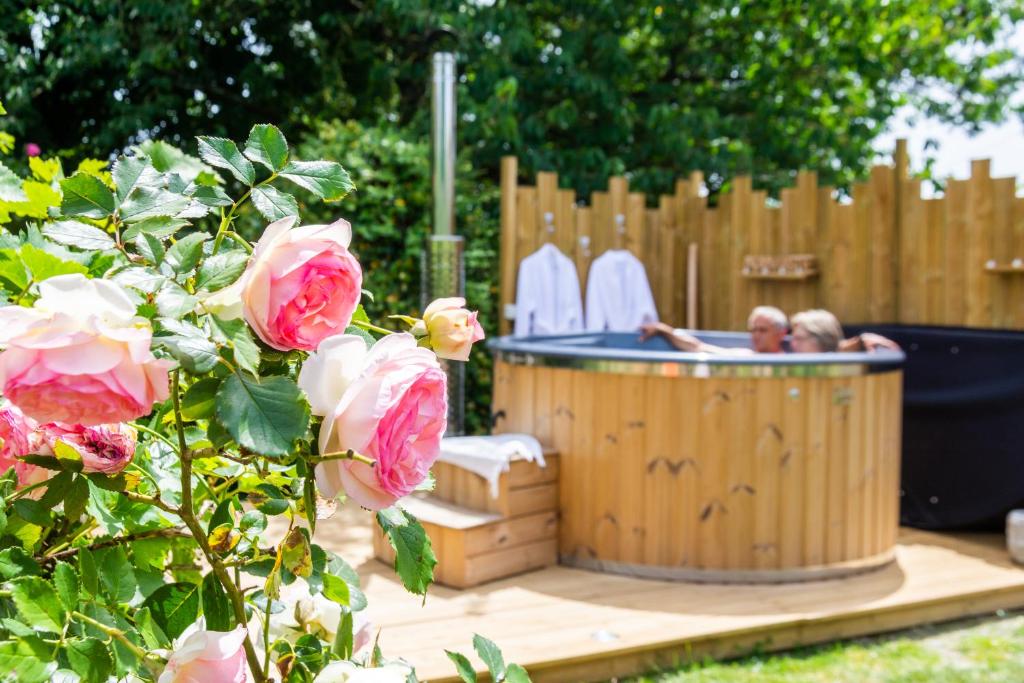 Chalet Cabane en bois avec bain nordique Les Denisières 72430 Asnières-sur-Vègre