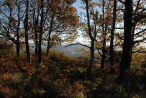 Cabane et potager sud Cévennes, jacuzzi en option