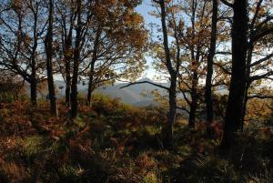 Chalet Cabane et potager sud Cévennes, jacuzzi en option Lacamp 30440 Roquedur Languedoc-Roussillon