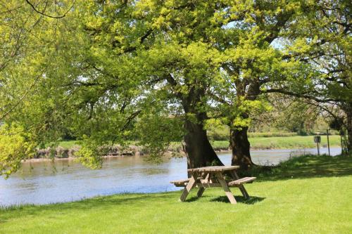 Camping des 2 Rives- Mobilhomes