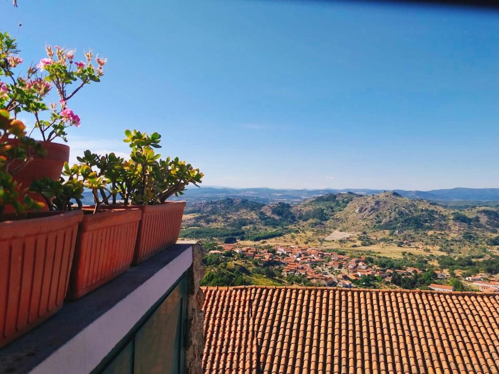 Casa dos Sequeiras Rua do Sol Velho, 6060-091 Monsanto