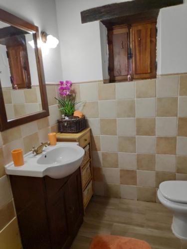 Casa em Xisto na Serra da Lousã, Gondramaz