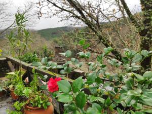 Casa em Xisto na Serra da Lousã, Gondramaz
