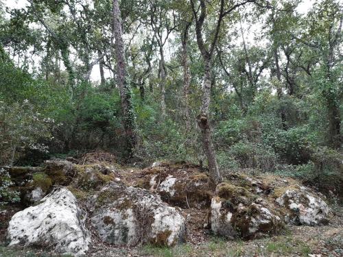 Casal do Morgado, country house to relax