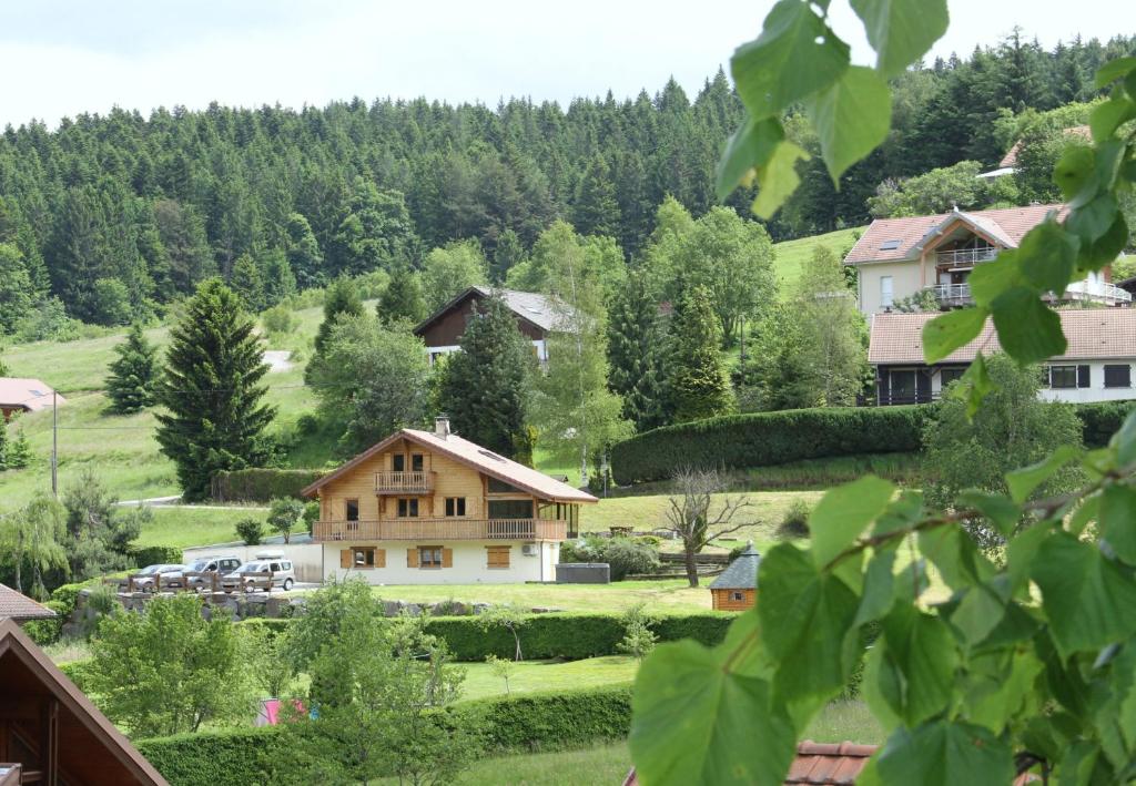 Chalet Chalet centaurée - Rémy HEROLD 70 Chemin de la Roche Toussaint, 88400 Xonrupt-Longemer