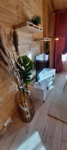Chalet 1 chambre 2-4 personnes