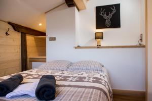 Chalet 20 pers Paradiski la Plagne pied des pistes