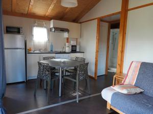 Chalet 3 au coeur des volcans