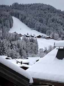 Chalet 500 m du village et du front de neige
