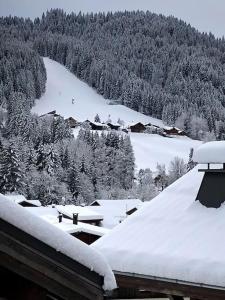 Chalet Chalet 500 m du village et du front de neige 1885 Route des Grandes Alpes 74260 Les Gets Rhône-Alpes