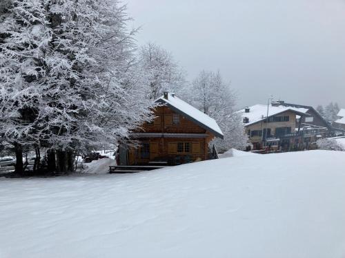 CHALET 6 PERSONNES SUR PISTE