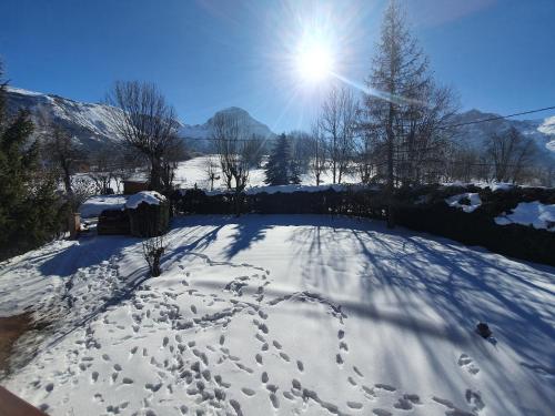 Chalet 8-10 personnes Auris en Oisans Domaine de l'Alpe d'Huez