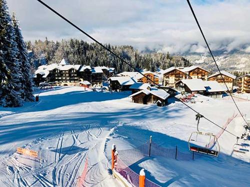 Chalet Alliance entre calme et plaisir