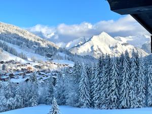 Chalet Amitie near supervised lake, 100 m slopes, multi-activity pass FREE