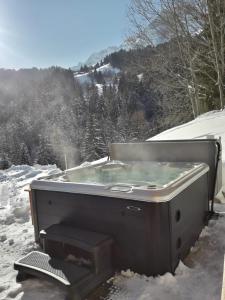 Chalet Ange