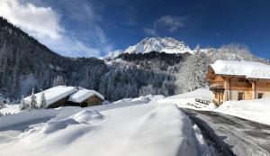 Chalet Ange
