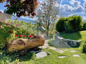 Chalet Arve Passy