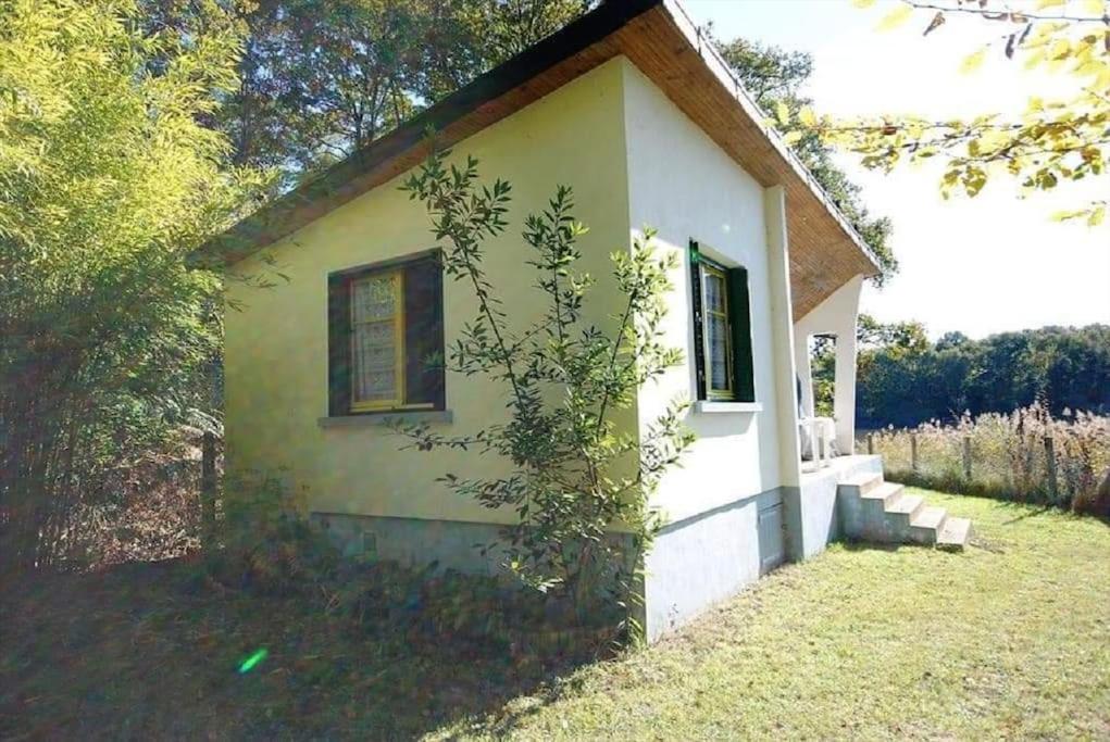 Chalet au bord de l'étang 4 pers L'Étang, 89520 Les Boulmiers