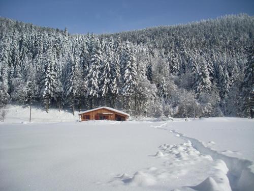 Chalet au bord du lac de Longemer