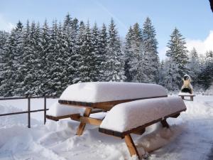 Chalet au bord du lac de Longemer