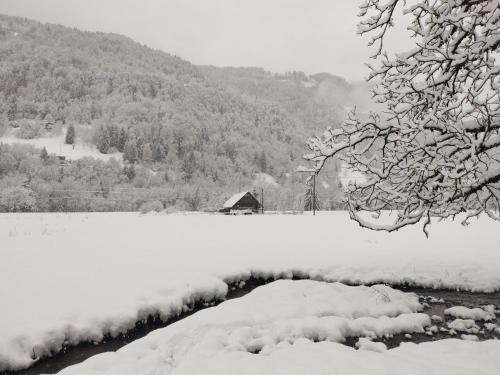 Chalet au coeur du Beaufortain