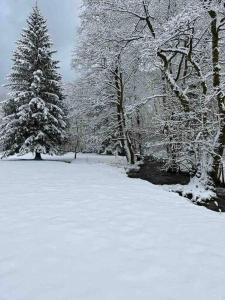 Chalet « Au pied du sapin » 4****