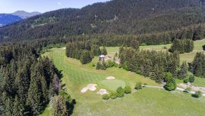 Chalet bergerie au coeur du golf de Méribel