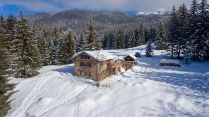 Chalet bergerie au coeur du golf de Méribel