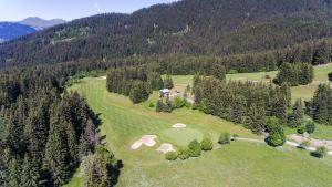 Chalet Chalet bergerie au coeur du golf de Méribel Chemin du Plaigny 73550 Les Allues Rhône-Alpes